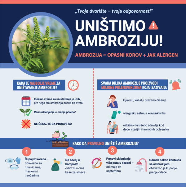 Uništimo ambroziju – zaustavimo alergije! 